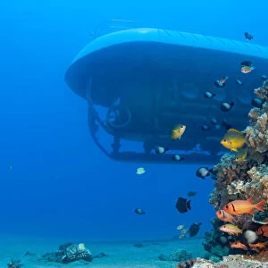 Atlantis Submarine, Maui, Hawaii, USA