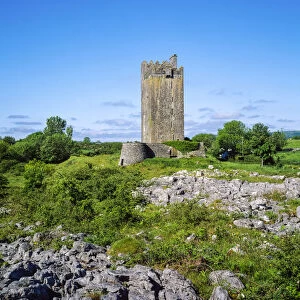 Ballyportry Castle, Corrofin, Co Clare, Ireland; Tower House