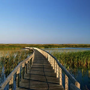 Bowley Pond Boardwalk, Kings County, Greenwich, Prince, Edward Island