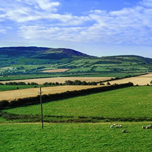 Burt, Grianan Estate, County Donegal, Ireland; Farm Landscape