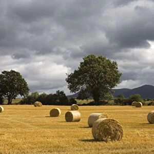 Clogheen, County Tipperary, Ireland; Hay Bales In Field