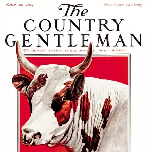 Design Pics Art Metal Print Collection: Country Gentleman Agricultural Magazine Covers (1831-1955)
