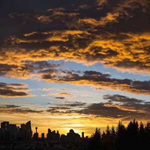 Dramatic Colorful Clouds At Sunrise With Cityscape And Tree Silhouette; Calgary, Alberta, Canada