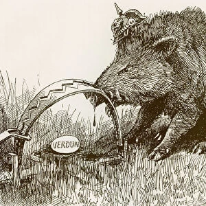 English Propaganda Picture Showing A Boar Representing The German Army, With His Nose Caught In A Trap. Battle Of Verdun. From The Year 1916 Illustrated
