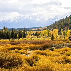 Fall Colors at Pacific Creek in YNP and the Grand Tetons in Grand Teton National Park, Wyoming, USA