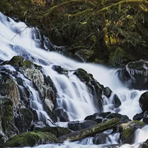 Fishhawk Falls Is Found At Lee Wooden County Park; Jewell, Oregon, United States Of America