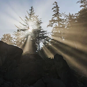 Fog Diffuses The Sunlight; Cannon Beach, Oregon, United States Of America