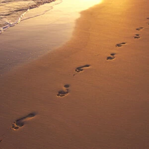 Footprints In Sand At Sunset, Shoreline Water B1452