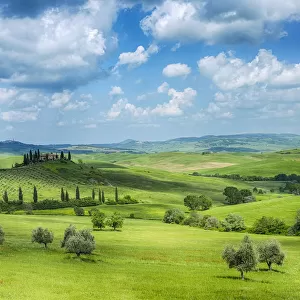 Green rolling landscape with fluffy clouds. Pienza, Siena Province, Val d┼¢Orcia, Tuscany, Italy, Mediterranean Area