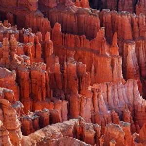 Hoodoos of the Claron Formation at sunrise in Bryce Canyon National Park, Utah, USA