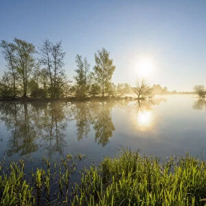 Lakeside with Island, Sun and Morning Mist, Streudorf, Lake Altmuhlsee, Weissenburg-Gunzenhausen, Bavaria, Germany
