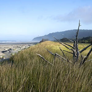 North Head and Benson Beach, Cape Disappointment State Park in Washington, USA