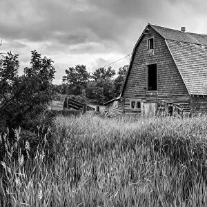 Old barn on the Canadian Prairies, Alberta, Canada