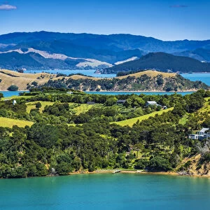 Omaru Bay, Orapiu, Waiheke Island, North Island, New Zealand