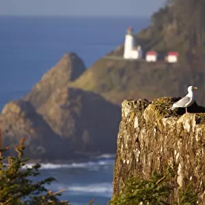 Oregon, United States Of America; Heceta Head Lighthouse Along The Coast