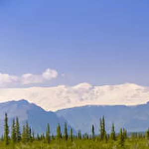 Panorama View Of Mount Sanford And Mount Wrangell As Seen From The Nabesna Road In Wrangell Saint Elias National Park, Southcentral, Alaska, Summer