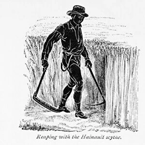 Reaping with the Hainault scythe. From The Book of the Farm by Scottish farmer and agriculturalist Henry Stephens, 1795 - 1874, first published in the 1840 s. This illustration from a revised 1870s edition