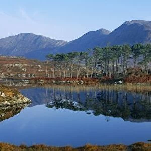 Reflection Of Trees And Mountains In A Lake, Derryclare Lough, Twelve Bens, Connemara, County Galway, Republic Of Ireland