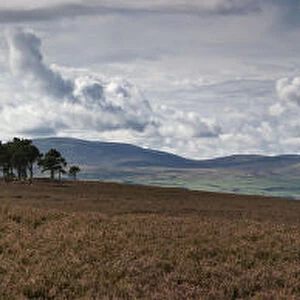A Road Leading Into The Distance And Dramatic Clouds Over A Landscape; Northumberland England