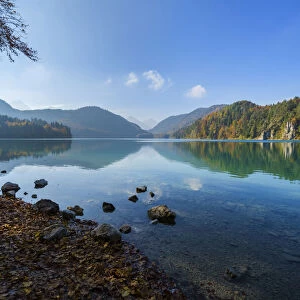 Scenic of Lake Alpsee in Autumn, Fussen, Swabia, Allgau, Bavaria, Germany