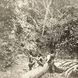 Stereoview card from circa 1900 for viewing through a stereoscope. A group of Andamanese in their native jungle in India, 1896, by J. F. Jarvis; Andaman Islands, India