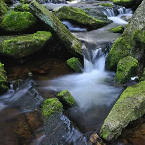 Stream, Oderteich, Sankt Andreasberg, Goslar, Harz, Lower Saxony, Germany