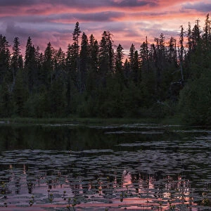 Sunset Over A Small Beaver Pond Along The Yellowhead Highway Near Smithers; British Columbia, Canada