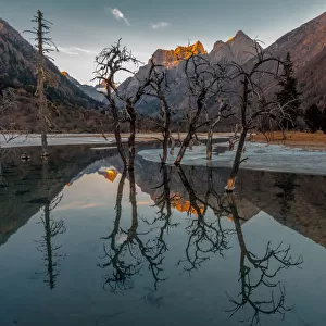 Sunset with trees reflected in a high altitude lake on the Tibetan Plateau, Rilong, Sichuan Province