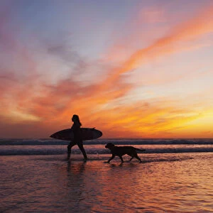 A Surfer Walks In Shallow Water With Her Dog At Sunset; Tarifa Cadiz Andalusia Spain