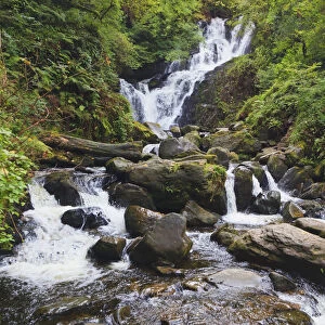 Torc Waterfall In Killarney National Park; County Kerry, Republic Of Ireland