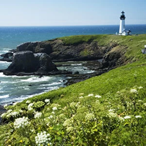 USA, Oregon, Yaquina Head Historic Lighthouse And Natural Wilderness Area; Newport