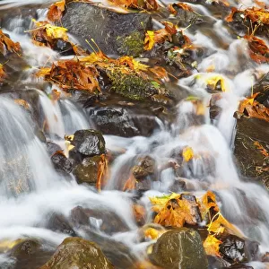 Water Cascading Over Rocks Covered In Leaves In Autumn