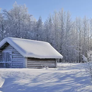 Winter Scene, Kuusamo, Northern Ostrobothnia, Finland