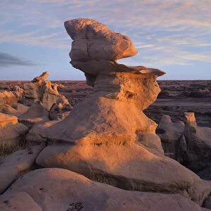 Rock formation, Bisti Badlands, Bisti Wilderness Area, New Mexico