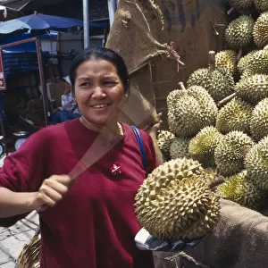 durio zibethinus, durian