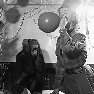 Actress Jill Adams attends a chimps Christmas party 1955
