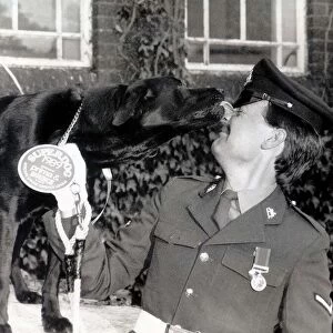 Ambrose a sniffer dog with the Arms and Explosives search unit in Londonderry