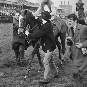 Anglo ridden by Tim Norman being led into the winner