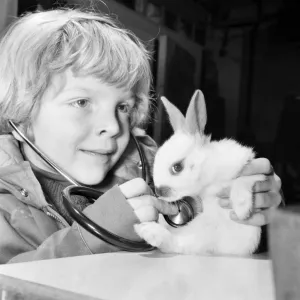 Animal: Cute: Bunny: It was a moment of tender wonderment