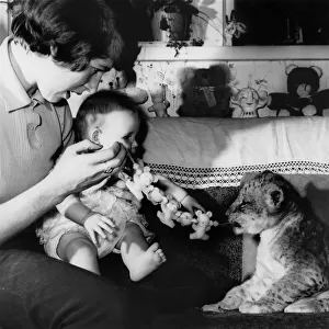 Animals - Cats - Lion Friendship With Children. August 1968 P000521