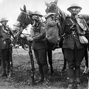 Army Efficiency Tests. Horses and men in gas masks. September 1917