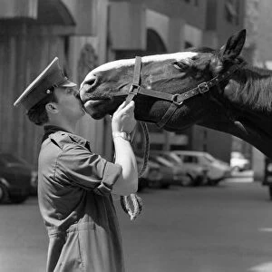 Army: Horses: I ll miss you pal. Touch of Friendship