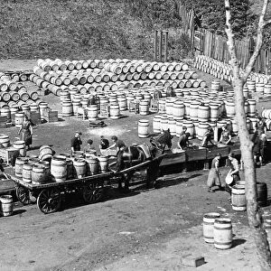 These barrels at Tanners Bank Dene, in 1937, are an overflow of herring from North