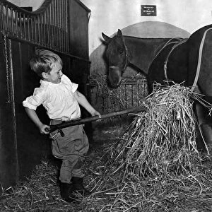 Billy Mackie age 4, has 16 horses as playmates. Cleverest boy in the country with horses
