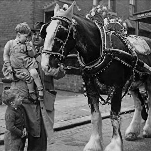 Birmingham Co-Operative milkman with his dairy float and horse