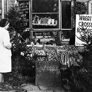Birmingham greengrocers selling Christmas trees. West Midlands, 2nd December 1947