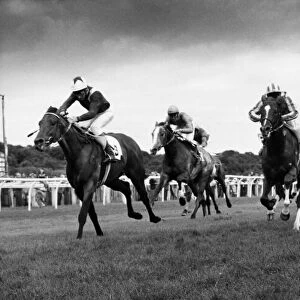 Get Carter... and top jockey Steve Couthen couldn t at Gosforth Park