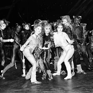 Cast members of Cats, musical based on T. S. Eliot 1939 poetry book Old Possum