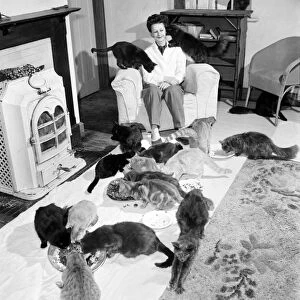 Cat Woman: Mrs Nan Cotton who has 80 cats as pets in her home