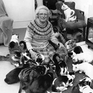 Cats Galore Sylvia Phillips with a few of her friends